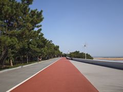-日照海滨国家森林公园