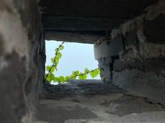 -蓬莱阁景区