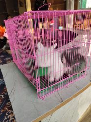 -萌宠亲子动物乐园(槐房万达店)