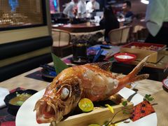-鸟山鸣·日料食堂(王府井店)