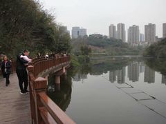 -重庆彩云湖湿地公园