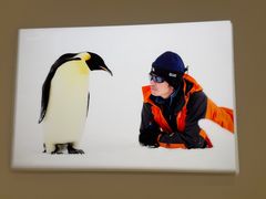 -罗红摄影艺术馆