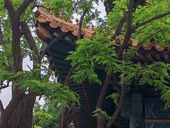 -挂甲禅寺