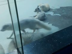 -泉城欧乐堡海洋极地世界