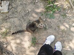 -终南山国家森林公园