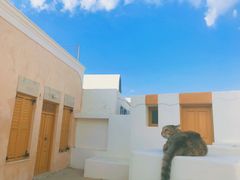 -蓝顶教堂