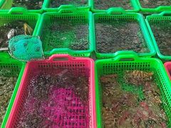 -众味海鲜大排档·活海鲜·潮汕味(南澳店)