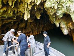 -怀托摩萤火虫洞