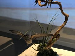 -釜山APEC峰会会议之家
