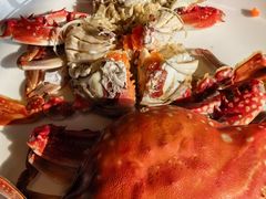 -高佳庄·舟山海鲜(海景旗舰店)