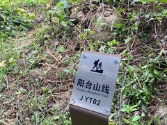 -阳台山森林公园