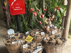 -大象粑粑造纸公园