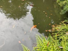 -成都杜甫草堂博物馆