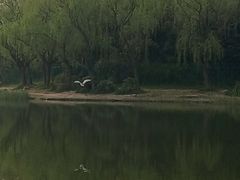 -新江湾城公园