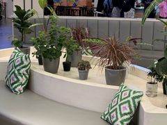 -茶芭蕾·新疆酸奶(美美1店)