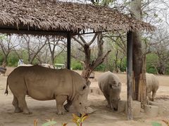 -西安秦岭野生动物园