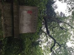 iphone_upload_pic-郭洞古生态村