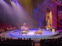 -珠海横琴长隆《卡卡虎奇遇记》