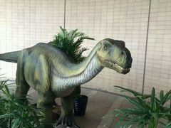 -自贡恐龙博物馆