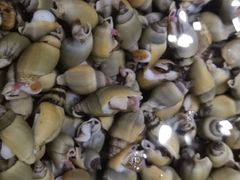 海胆和斑节虾和鱼真不错-格力东澳大酒店-蓝色海岸餐厅