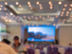 -畔山酒店中餐厅