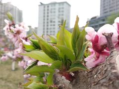 -雁滩公园