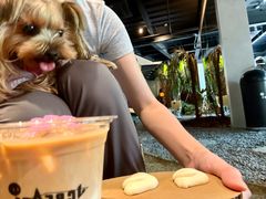 -J Create城市露营咖啡·简餐·宠物(上海动物园店)