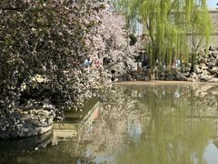 -莲池书院博物馆