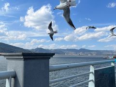 -海埂大坝