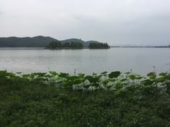 -东湖落雁景区
