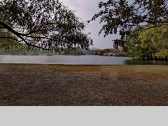 -上海共青森林公园