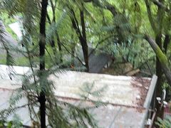 -巴倒烫陆派火锅山庄(南山总店)