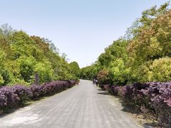 -上海海湾国家森林公园