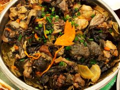 -莫华(锦绣趣园北街店)