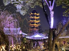 -苏州吴宫泛太平洋酒店