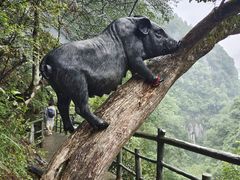 -蝶舞清江·恩施地心谷景区