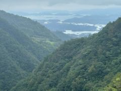 -浔味·山屿湖·正宗淳牌全鱼宴老字号