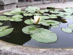 iphone_upload_pic-西安化觉巷清真大寺