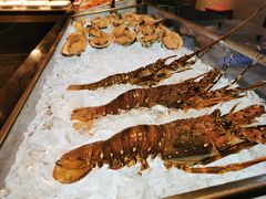 -博林天瑞喜来登酒店·西丽尚膳