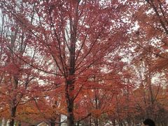 -辽宁大学(崇山校区)