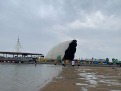 -碧海金沙