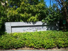 -上海崇明金茂凯悦酒店