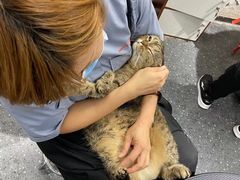 -宠物家(双井店)