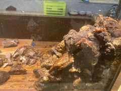 -磨沟沿老字号牛肉面·清真(金港城店)