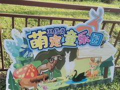 -王借岗森林公园