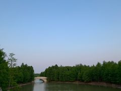 -上海海湾国家森林公园