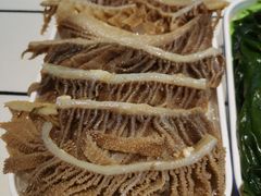 五香毛肚梗-丰犊老火锅(井口店)