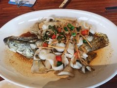 -顺德了能馆(虎门店)