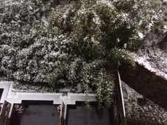 iphone_upload_pic-天目湖御水温泉·度假酒店