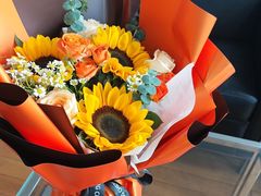 -上海德星奔驰(江杨南路店)